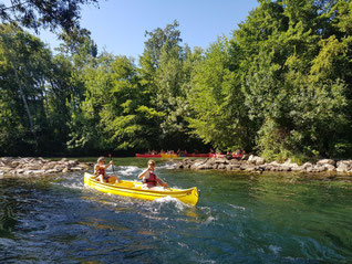 Canoës sur la Sorgue