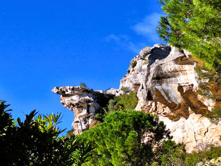 Les crêtes de Baumeyrane, le val d'Enfer, les plaines  oleïcoles  (Alpilles centrales) : 11/02/2024