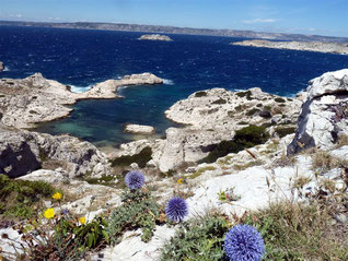 Marseille et le Frioul : 19 juin 2016