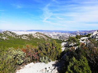 3 sommets, 3 cols par les 3 pics (Marseilleveyre) 10 novembre 2024