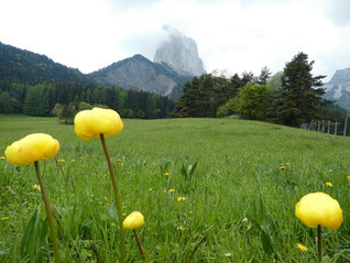 WE en Vercors : 18 au 20 mai 2018