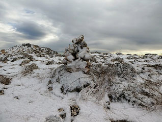 Sainte Victoire : 3 février 2019