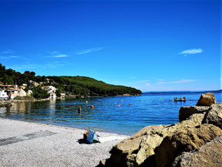 Bord d'étang au Ranquet