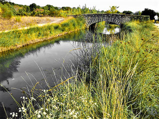 le canal de Carpentras