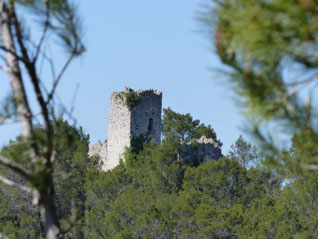 Belvezet, mas de l'Ancienne Eglise : lundi 17 avril 2017.