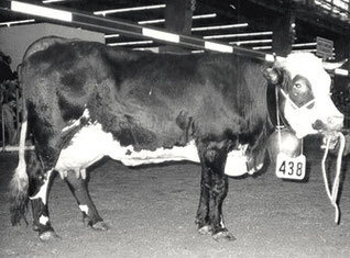 LISETTE : 1ère Abondance à atteindre 100 000 kg 