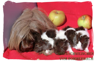 I-Wurf, Cleopatra mit ihren Babys