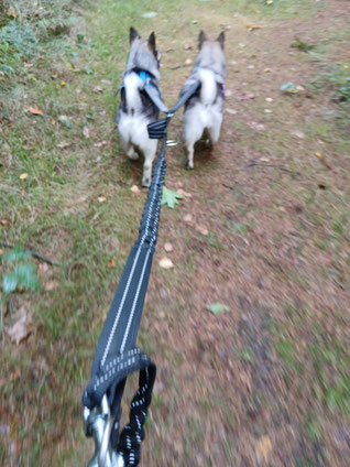 Frasse en Believe samen lopen!!