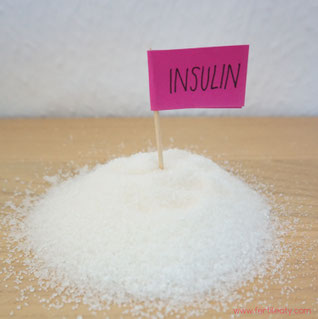 Insulin ist ein Hormon, das bei PCO-Syndrom (PCO, PCOS) häufig erhöht ist. Es liegt oft eine Insulinresistenz vor.