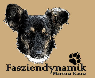 Fasziendynamik Martina Kainz