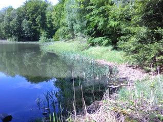 Der Baa-See, Foto: Gisela Specht (privat)
