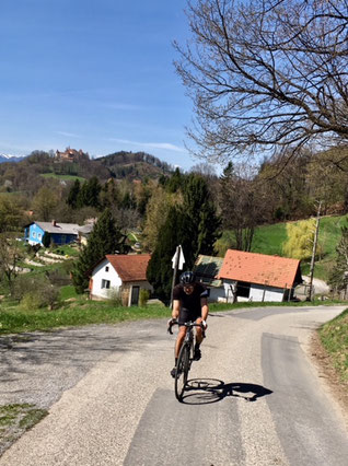 view back to schloss plankenwarth