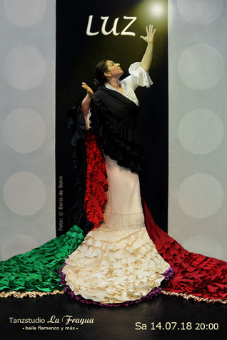Titelfoto zur Flamenco-Tanzaufführung "LUZ" mit Rosa Martínez am 14.07.18 im Tanzstudio La Fragua/Color-Foto by Boris de Bonn