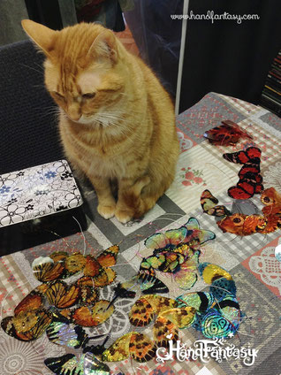 gato con mariposas