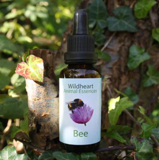30ml - CHF 36.00