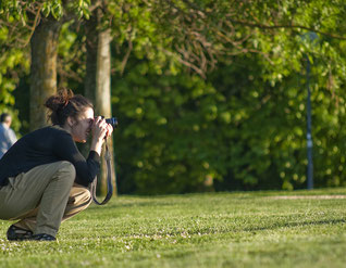 Hochzeit, Fotograf, Profi
