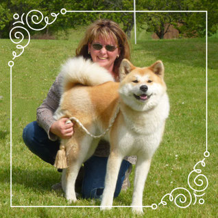 Japan Akita, Hund, Japan Akita e.V., Hundeausstellung, Vereinsausstellung
