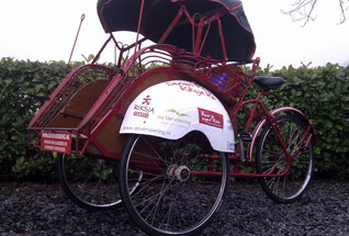Riksja voor Serious Request met vermelding van sponsors