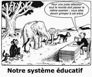 dyslexie montpellier, dys montpellier, dyspraxie montpellier, ordinateur dys, informatique dys montpellier, cours particuliers montpellier, dysinformatique, Delphine Poher, mes dysdoigts