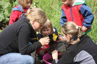 Viel Arbeit und Liebe investieren wir in die Umweltbildung der Kinder