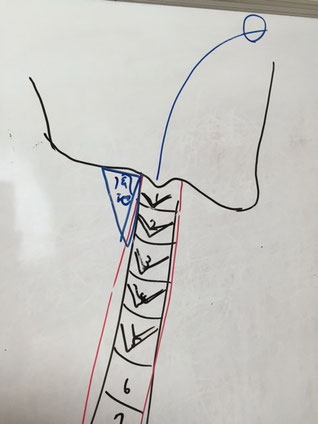 頭痛のツボ「風池」を押してみよう