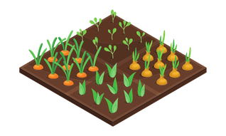 Garten mit vier Beeten