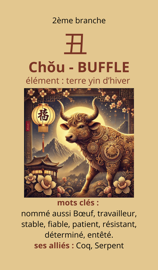 Jeu de cartes disponible dans la boutique