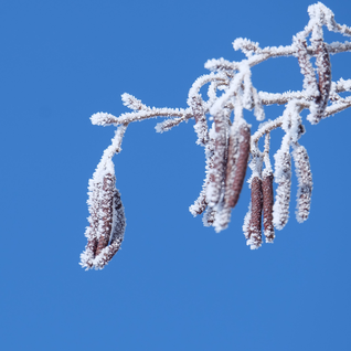 Winterfarben & Winterformen