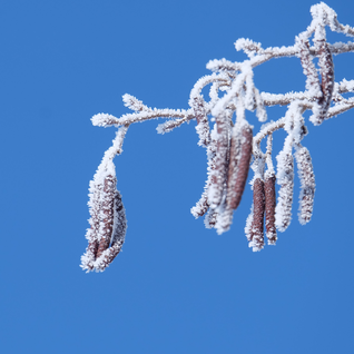 Winterfarben & Winterformen 