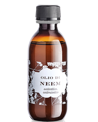 olio di neem , repellente e antiparassitario naturale