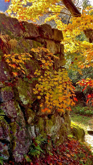 苗木城跡ランチ中津川グルメ秋満喫Naegi castle ruins lunch Japanese restaurant