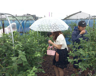 傘・雨具は無料貸し出ししています。