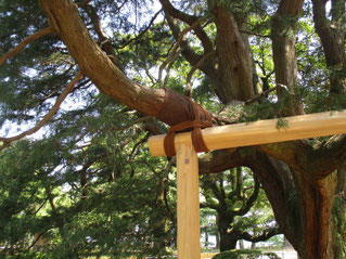 当社製のロープは秘かに兼六園で頑張ってます