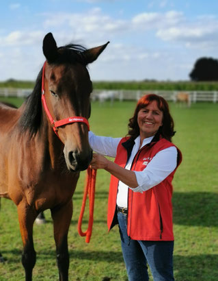 Trakehner Gustl, annette engelhardt, Ballermann Ranch, Sulingen, diepholz, blockwinkel