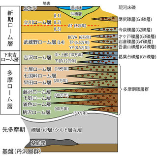 秦野盆地の地層模式図