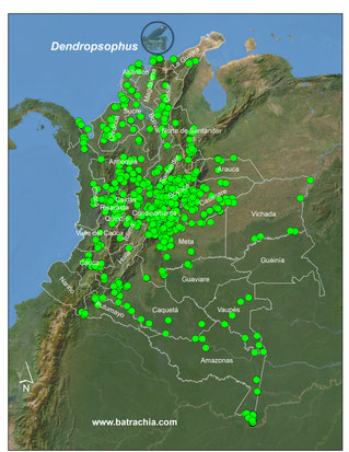 registros del género en Colombia