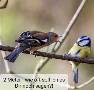 Heute und jeden Tag auf dem Schulhof...