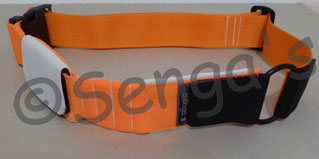 Pferdehalsband Aktivstall mit Trackertasche und Chiplasche und Soll-Bruch-Stelle