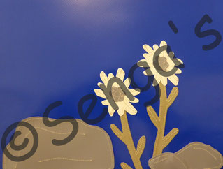 Edelweiss mit Steinen Motiv für Blachenprodukte