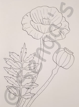 Mohnblumen-Motiv für Blachenprodukte