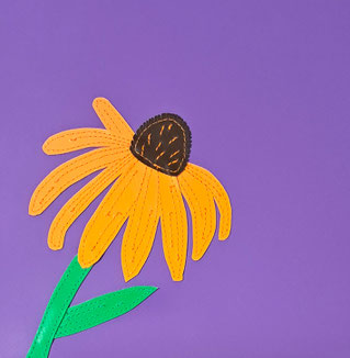 Rudbeckia / Sonnenhut