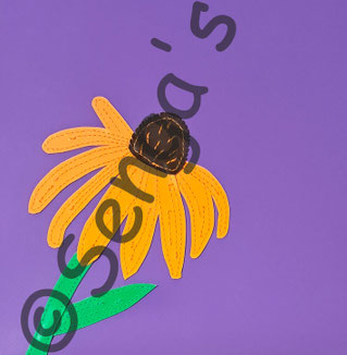 Rudbeckia / Sonnenhut - Motiv Blachenprodukte