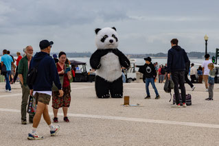 2024, Portugal, Lisboa, Lisbon, Lissabon