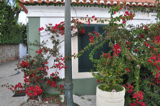 2024, Portugal