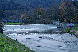 Wasser