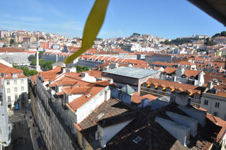 2024, Portugal, Lisboa, Lisbon, Lissabon