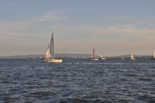 2024, Portugal, Lisboa, Lisbon, Lissabon