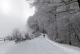 Nebel