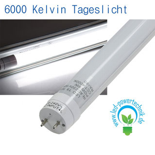 150cm T8 LED Röhre 24W 2250Lm Leuchtstoffröhre G13 kalt weiß (6000K) mit  Starter, T8 - G13 LED Röhren, LED Leuchtmittel