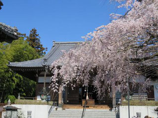 蓮田市